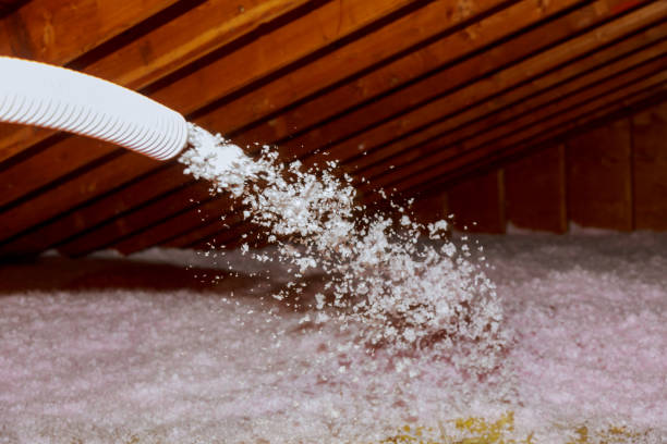 Best Cellulose Insulation in West Modesto, CA