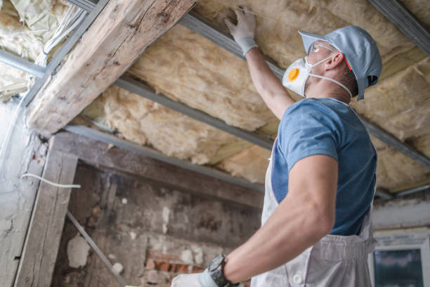 Best Insulation for Specific Applications in West Modesto, CA