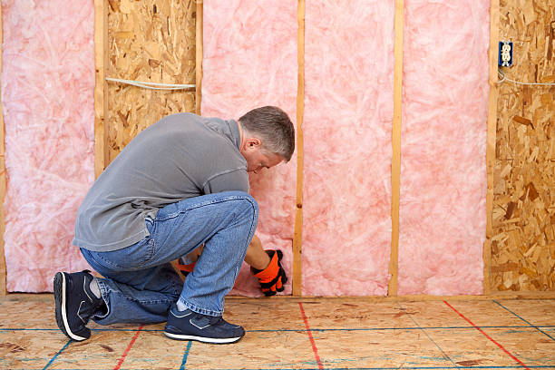 Best Fiberglass Insulation in West Modesto, CA