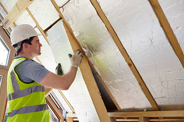 Best Specialized Insulation Services in West Modesto, CA